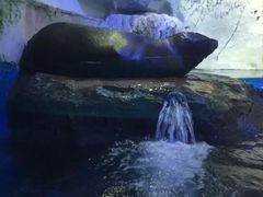-泉城欧乐堡海洋极地世界