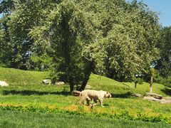 -北京野生动物园