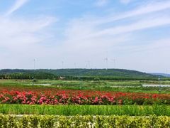 -南京枫彩漫城