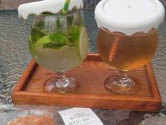 -柴犬高等学院·狗咖·柴犬售卖·宠物训练