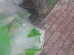 -银河电影城(中国巨幕斗门店)