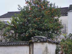 -丝绸小镇荻港古村