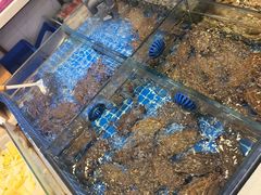 -木木鲜海鲜面(天一店)