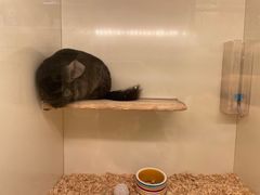 -龙猫仔乐园(惠福东路店)