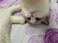 -十六蒲(桂林路店)