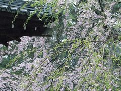 -醍醐寺