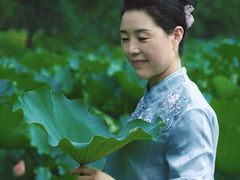 -合肥滨湖国家森林公园