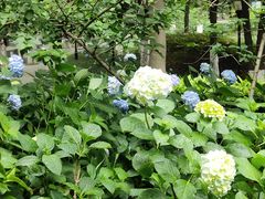 -常州古运河南大街文化旅游区-人民公园