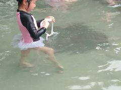 -咸宁温泉谷大酒店