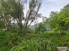 -长广溪湿地公园