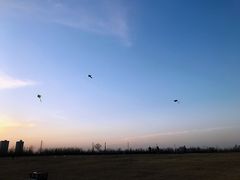 -汉长安城未央宫国家考古遗址公园