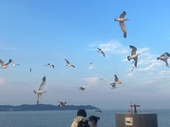 -长岛南北长山旅游景区