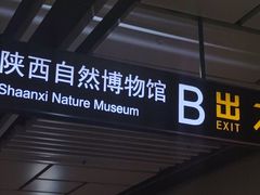-陕西自然博物馆
