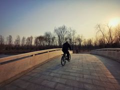 -东郊湿地公园