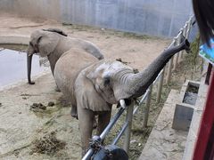 -西霞口神雕山野生动物世界