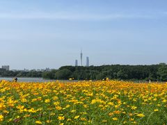 -海珠湖公园