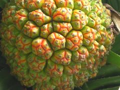 -龙坑生态保护区