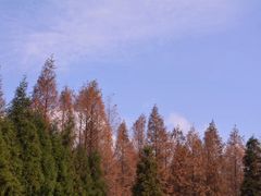 -山王坪喀斯特国家生态公园