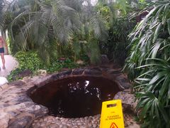 -中家鑫园温泉酒店鑫悦汤泉