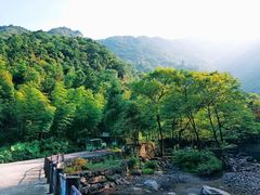 -白云源风景区