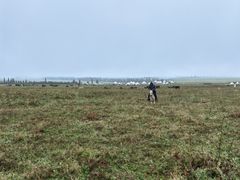 -新疆那拉提国家旅游度假区
