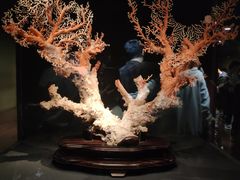 -台北故宫博物院