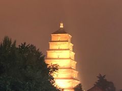 -福苗小骆驼烧烤(曲江店)