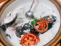 -全乐鱼馆·淳牌有机鱼直营店