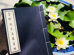 -西安青龙寺遗址景区
