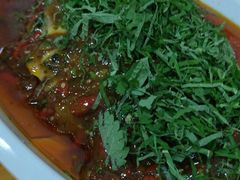 -老字号怡玺·藿香雅鱼(20年雅安店)