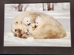 -罗红摄影艺术馆