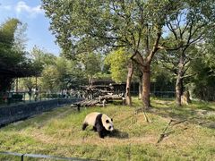 -宁波野生动物园