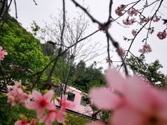 -小南山公园