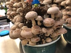 -捞王锅物料理(上海世茂广场店)