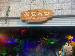 -泉城欧乐堡海洋极地世界