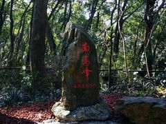 -上海佘山国家森林公园西佘山园