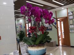 -茂菊口腔连锁(浦东南路店)