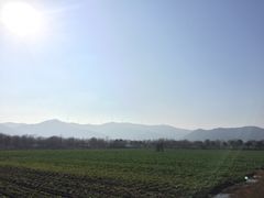 -长兴太湖图影湿地文化园