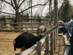 -大连森林动物园