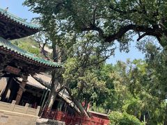 -晋祠公园