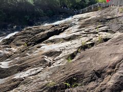 -广州白江湖森林公园