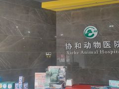 -瑞鹏瑞爱宠物医院·全科·猫科·血液透析中心(龙头寺店)