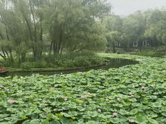 -皇家御河游(紫御湾码头)