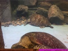 -哈尔滨波塞冬海底世界