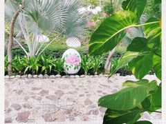 -100蛋泥浆浴