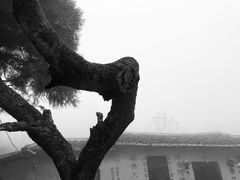 -鼓山风景区白云洞