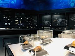 -北京周口店北京人遗址博物馆