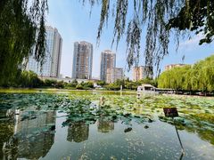 -团结湖公园