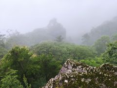 -牛背梁国家森林公园