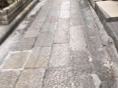 -中山大学孙逸仙纪念医院(北院区)